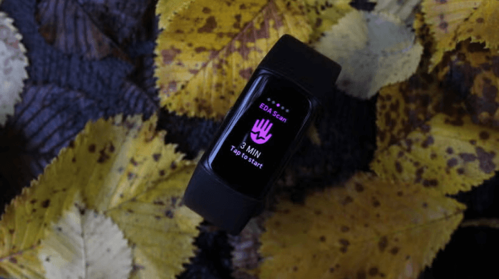 ภาพการวัดกิจกรรมไฟฟ้าของผิวหนัง (EDA) ด้วย Charge 6 ที่ข้อมือ ช่วยตรวจจับความเครียดและความผ่อนคลาย