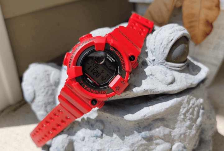 คอนกรีตรูปกบสวมใส่นาฬิกาดำน้ำ Frogman และผ้าปิดตาแบบโจรสลัด