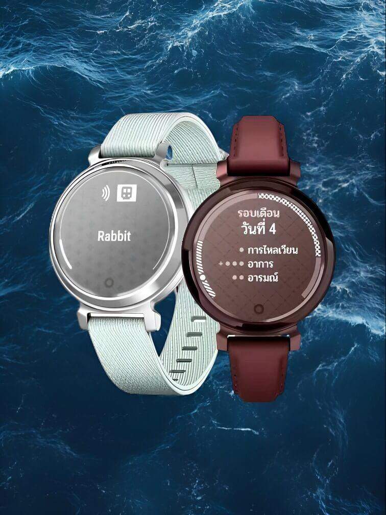 นาฬิกา Garmin 2 รุ่นที่มีดีไซน์แปลกใหม่ รุ่นสีเทาและสีน้ำตาล ตัวเรือนมีขนาดเล็กกว่ารุ่นมาตรฐานและดูคล้ายกับนาฬิกาแบบดั้งเดิม