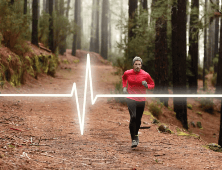 การวิ่งและการติดตามอัตราการเต้นของหัวใจสำหรับการฝึกซ้อมที่มีประสิทธิภาพ